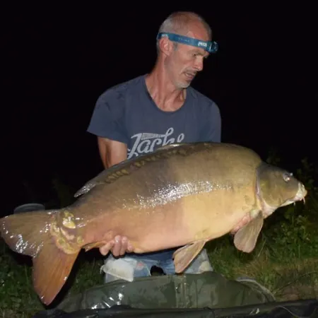 Daire Etang Lassalle 2