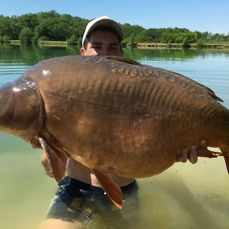 Etang Lassalle 2 Daire Lamazere